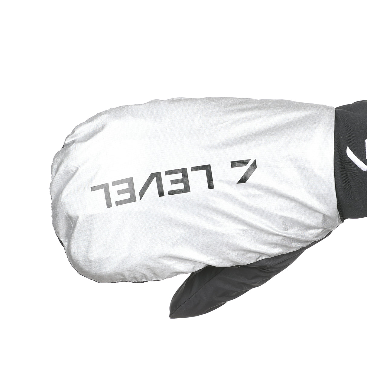 Ski Alper Light Glove