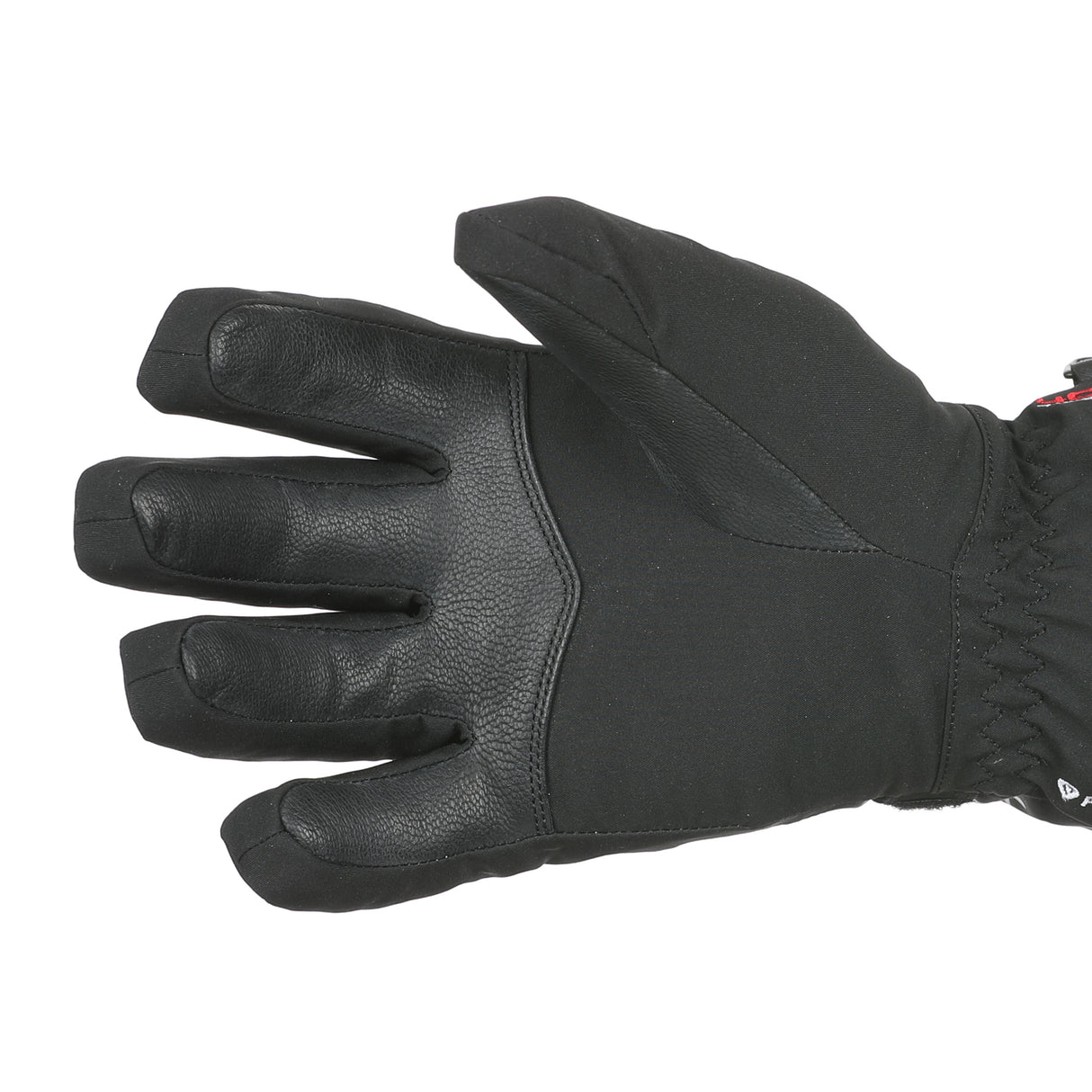 Venus Glove