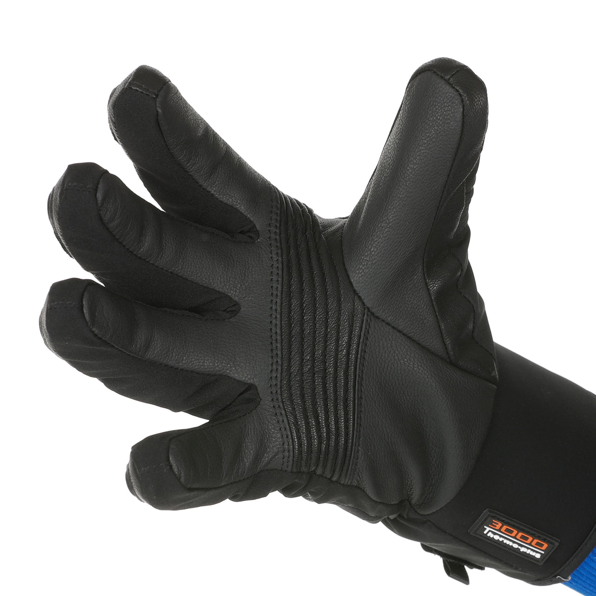 Jag Glove