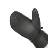 Dusty Mitten